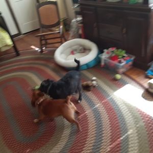 Meet your Posher, Donna